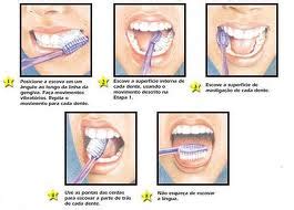 Toatentatudo Escova O Correta Dos Dentes