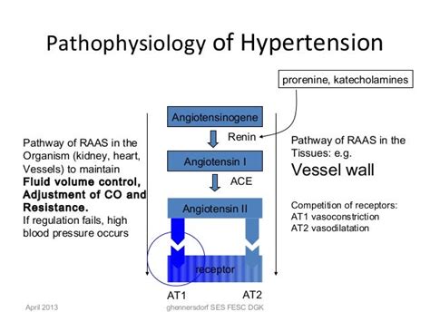 Pathophysiology Of Hypertension Flow Chart