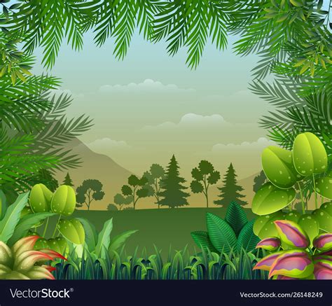 Tropical Jungle Background With Trees And Leaves Vector Image