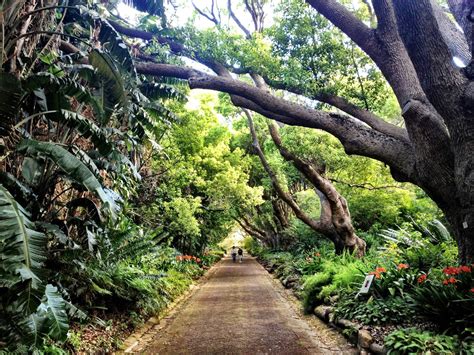 South Africa: Cape Town Botanical Garden