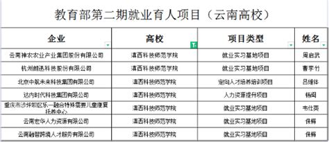 我校在教育部高校学生司第二期供需对接就业育人项目中获批多项立项 滇西科技师范学院学务处（武装部）