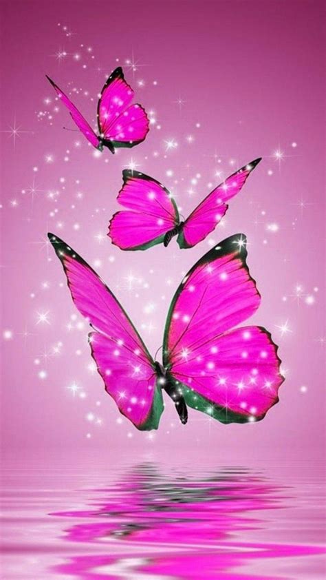 Purple Butterfly HD Wallpapers - Top Free Purple Butterfly HD ...