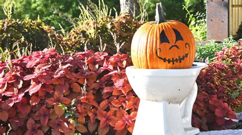 Pumpkin Spice Toilet Paper Actually Exists—Here's Where To Get It ...