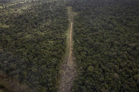 Na Amazônia Mato Grosso e Pará lideram em pistas de pouso clandestinas