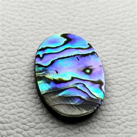 Natural Abalone Shell Ovalada Forma Plana Piedra Preciosa Etsy