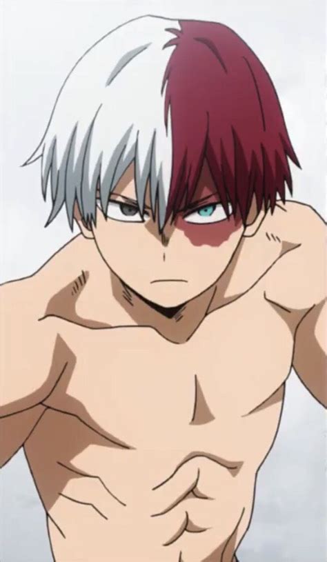 Todoroki Shouto Boku No Hero Academia Anime Guys My Hero Hot Anime Guys