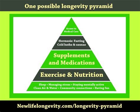One Possible Longevity Pyramid - New Life Longevity