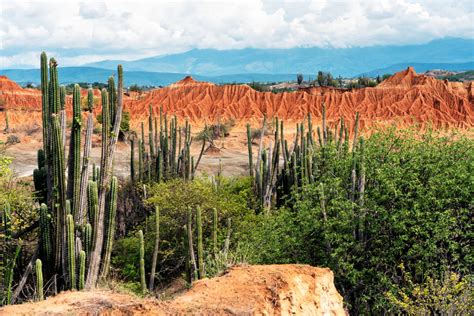 Desierto De La Tatacoa Star Terrestre Desde Medell N Suroeste