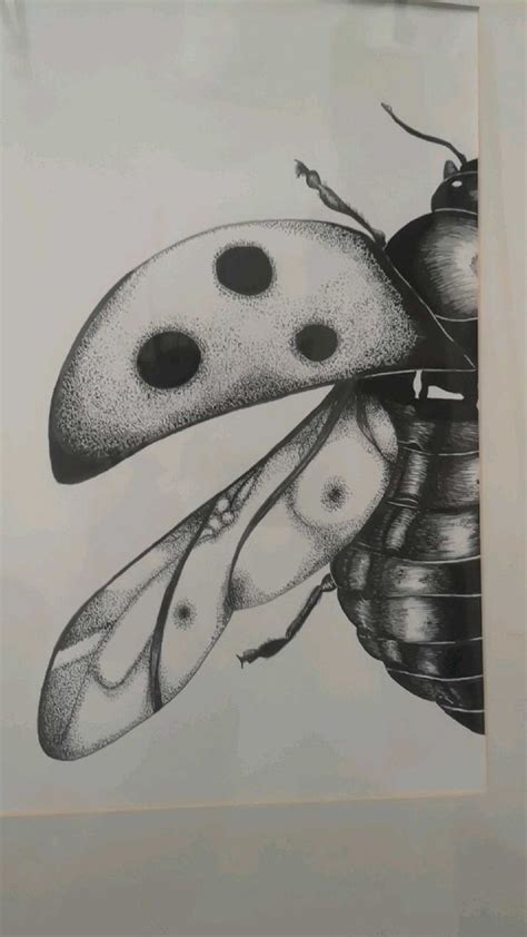 Pin By Annie Otzen On Bugs Insect Art Bug Art Gcse Art Sketchbook