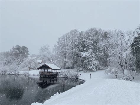 Burke: See Snow Photos From Jan. 3 Winter Storm | Burke, VA Patch