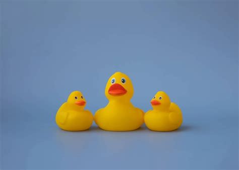 Tres Patos De Juguete De Goma Amarillos Para Nadar Sobre Un Fondo Azul