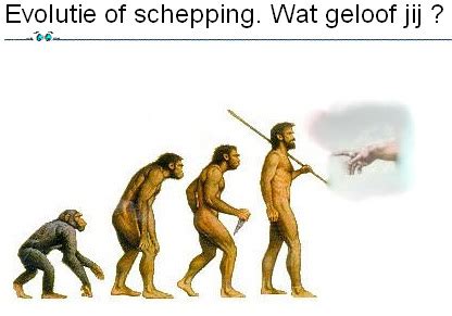 Weetjes Evolutietheorie Vs Creationisme