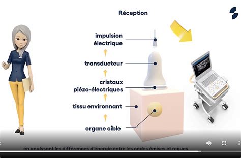 Bases Physiques De L Chographie Sonoschool Isonic