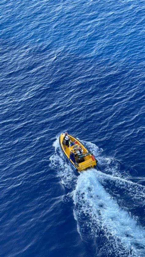 Man Jumps From World S Largest Cruise Ship