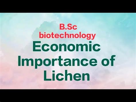 B Sc1 Year Biotechnology Economic Importance Of Lichen Trending