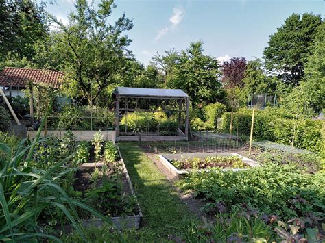 Tageslehrgang Grundlagen Garten Neu Im Kleingarten