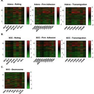 Heat Maps Of Cd T Cell Signature Gene Expression In Each Eam And