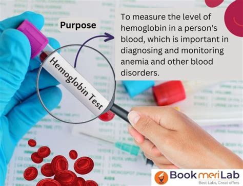 Hemoglobin Hb Test Get Price Purpose Risks Result