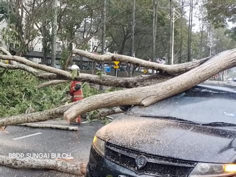 Dua Pemandu Selamat Kereta Dihempap Pokok Tumbang Kosmo Digital