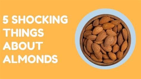 What Happens To Your Body When You Eat Almonds Seed Every Day Youtube