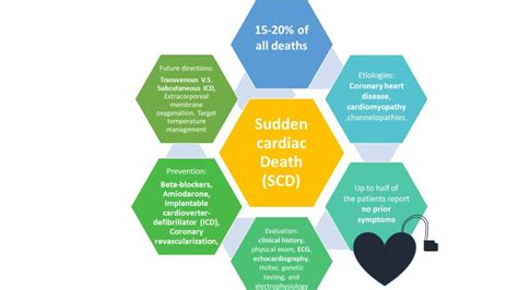 Sudden Cardiac Death Epidemiology Pathogenesis And Management