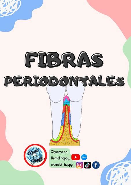 Fibras Periodontales Alan D Az Udocz