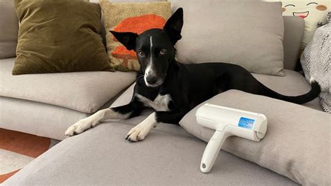 The ChomChom roller pet hair remover review | CNN Underscored