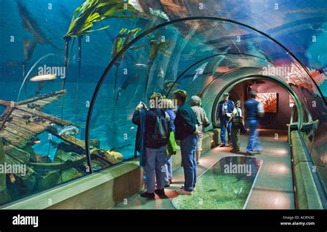 Passages of the Deep exhibit at the Oregon Coast Aquarium Newport ...