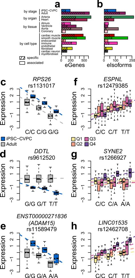 Stage Organ Tissue And Cell Type Eqtls A B Barplots Showing The Download Scientific Diagram