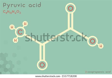 Large Detailed Infographic Molecule Pyruvic Acid Stock Vector Royalty Free 1557718208