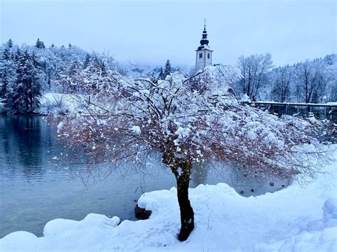 Photo Gallery: A trip to Lake Bohinj in Winter - Fine Stay Slovenia