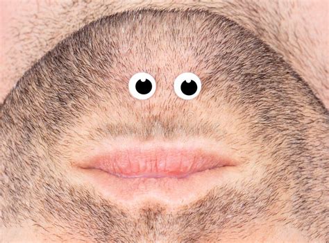 Funny Image of a Mouth and Fake Eyes - Weird Looking Character Stock Image - Image of grey ...