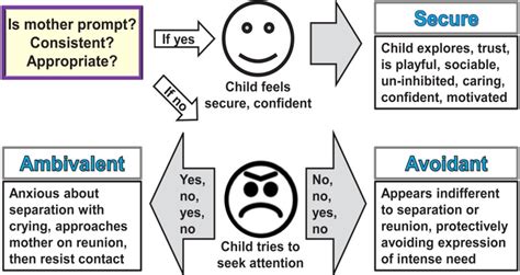 Mary Ainsworth Attachment Theory Chart