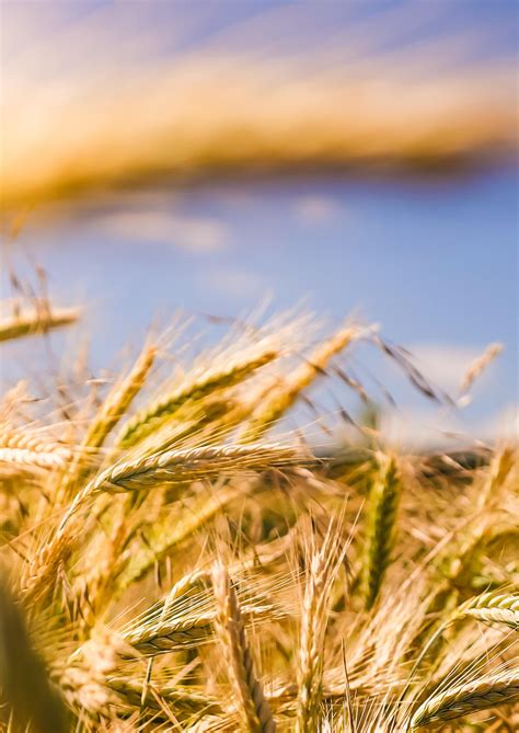 Rural | Sales Track Record by ColliersNZ - Issuu