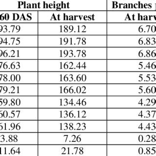 Effect Of Nitrogen And Sulphur On Growth Attributes Of Mustard