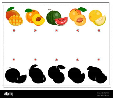 Puzzle Game For Kids Find The Right Shadow Fruit Mango Peach