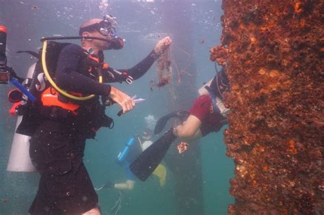 The Final Round Of Fish Aggregating Device Fad Buoys Has Been