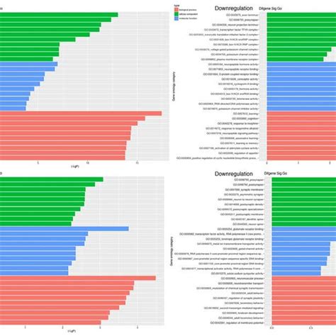 Top Most Significant Biological Processes Cellular Components