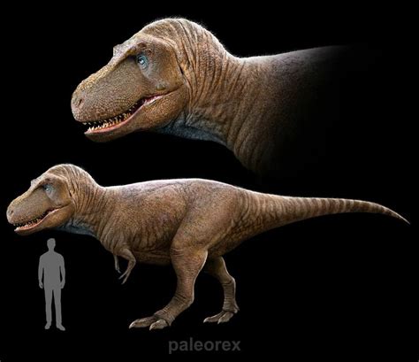 This Artist Shows What Long Extinct Animals Mightve Looked Like In His