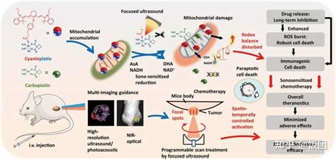 铂化疗药：一种声激活的铂类抗癌前药 知乎