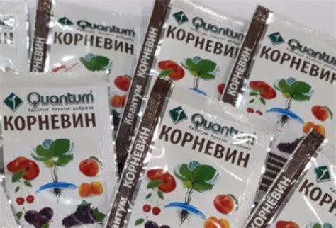 Корневин – инструкция по применению: состав препарата, использование в ...