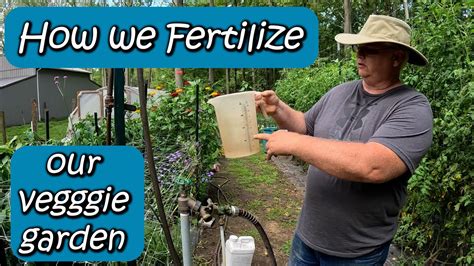 How We Fertilize Our Vegetable Garden Youtube