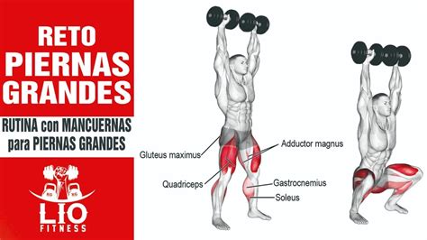 En Consecuencia Las Bacterias Perspectiva Rutina Piernas Pesas