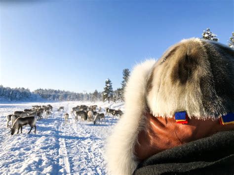 Indigenous People Of Sweden The Sámi Study In Sweden