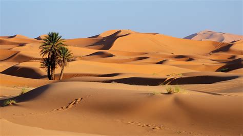 De Marrakech A Merzouga Circuit 3 Jours Au Désert Du Sahara Marocain