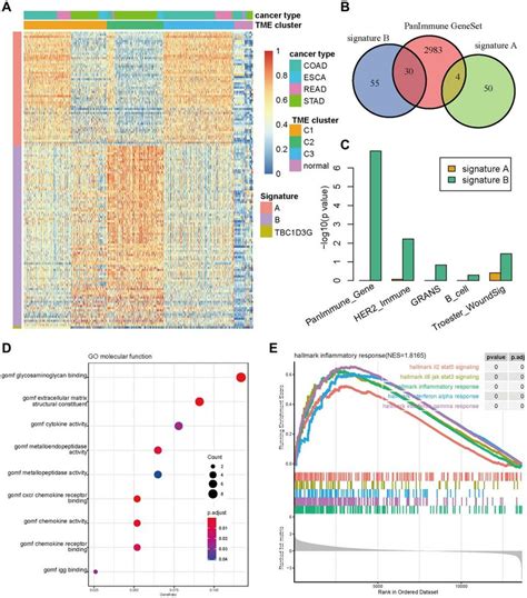 The Signature Genes Differentiating Tme Subtypes A Gene Expression