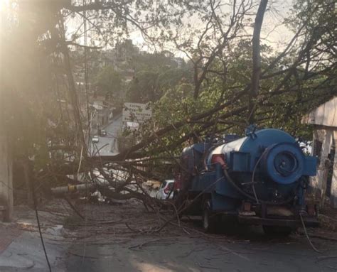 Queda De Rvore Deixa Moradores Sem Energia Na Pampulha Em Bh