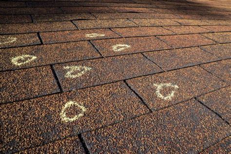 Roof Shingle Blisters Causes Effects And Solutions