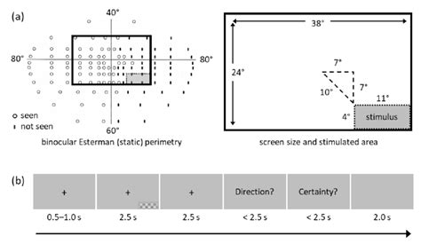 Visual field assessment and visual motion task. (a) Visual field ...