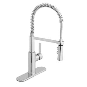 Glacier Bay Paulina Single Handle Spring Neck Pull Down Sprayer Kitchen